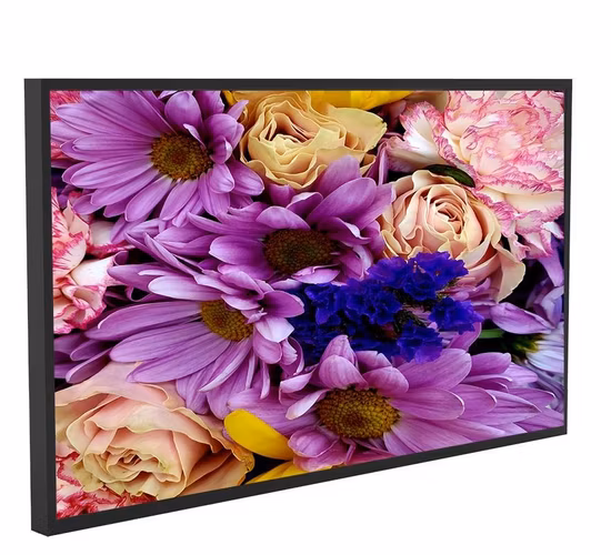 Segnaletica digitale con retroilluminazione a LED per montaggio a parete per display pubblicitari per interni